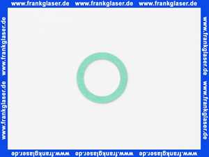 Remeha Dichtung 97956117 (1 Stück)