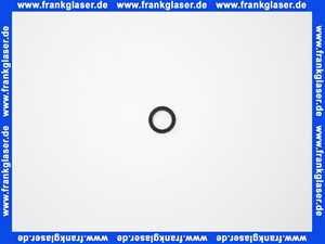 Remeha O-Ring 25.2x17mm Dichtung Dichtring S100810 (1 Stück)