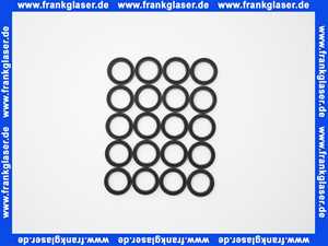 Remeha O-Ring 25.2x17mm (20x) S100810