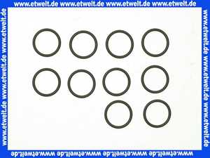 Remeha O-Ring 22x2.5 (10x) S100816