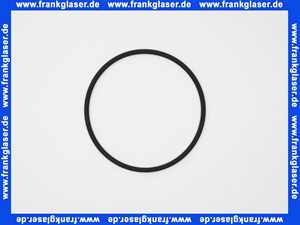 1500508 Rotex O-Ring für Brennerflansch