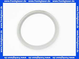 Rotex Dichtring DN80 für ROTEX A1 BO-BG bis BJ 2018 5004824