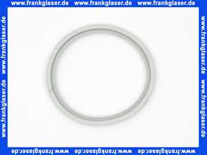 Rotex Dichtring DN80 für ROTEX A1 BO-BG bis BJ 2018 5004824