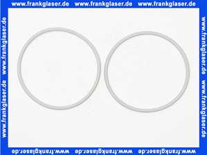 Rotex Dichtring für Revisions-Stück für ROTEX A1 bis BJ 2018 5004844