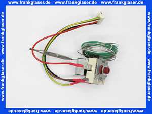 5004937 Rotex Temperaturschalter