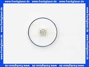 Rotex Thermometer d51 f.AMK1 für Mischergruppe 5005002