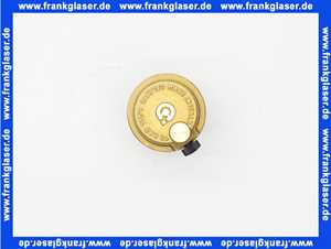 5009336 Rotex automatic air purge valve WP SP