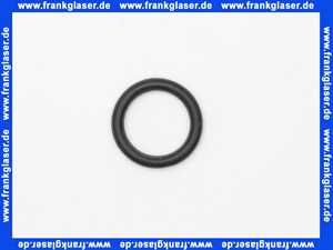 Rotex O-Ring Plattenwärmetauscher für ROTEX GW bis BJ 2019 5009613