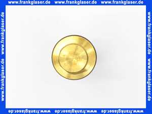 5009687 Rotex water inlet spare group (inside) Boiler SP