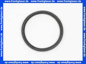 5011321 Rotex seal dia76 WP SP
