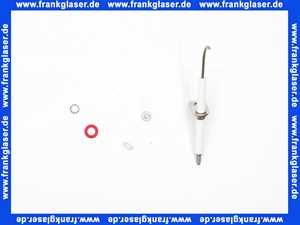 Rotex Überwachungselektrode für ROTEX G-Plus bis BJ 2017 5013289