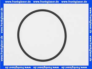Rotex O-Ring f. Flansch D.99 x 4 Viton für ROTEX A1 BO bis BJ 2018 5013583
