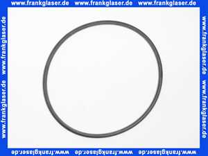 5020812 Rotex Dichtungsstreifen Brennerdeckel