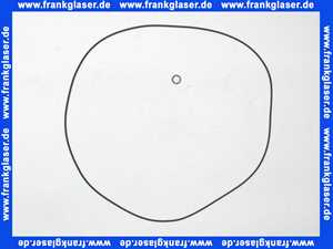 Rotex Dichtring Frontabdeckung 36kW für ROTEX GW 36 KW bis BJ 2019 5020967