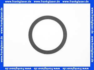 1110000768/1 Roth Flachdichtung 1 Stück