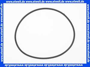 AU10022 Sanibroy Dichtung Motordeckel