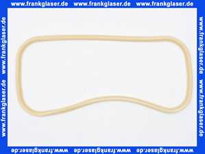 NP100093 Sanibroy Deckeldichtung zu Sanivite und Sanispeed