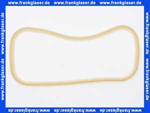 NP100093 Sanibroy Deckeldichtung zu Sanivite und Sanispeed