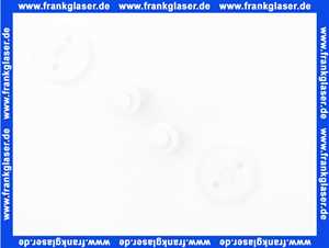 0108400 SANIT Schnellspann-Befestigungsbolzen mit Mutter (2 Stück) zu Spülkasten