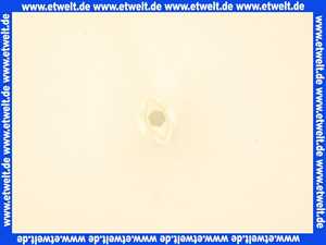 Sanit WC-Sitzschlüssel 02965000000