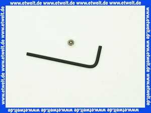 Sanit Sicherungsschraube und Schlüssel 03104000000