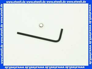 Sanit Sicherungsschraube und Schlüssel 03104000000