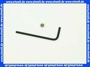 0310400 SANIT Sicherungsschraube und Schlüssel f Betätigungsplatten Designlinie S 700