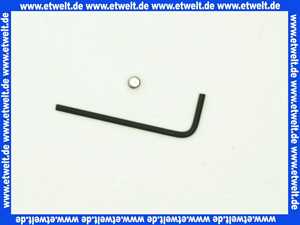 0310400 SANIT Sicherungsschraube und Schlüssel f Betätigungsplatten Designlinie S 700