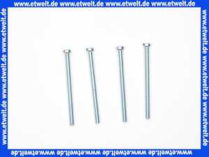 Sanit Befestigungsschrauben M5x70 (4 Stück) 03107000000