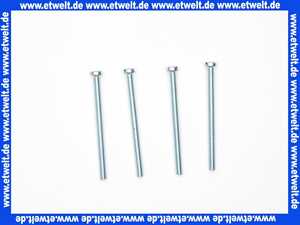 0310700 SANIT Befestigungsschrauben M5 x 70 4 Stück