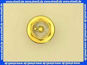 293550099 Schell Verschlusskopf für Druckspüler