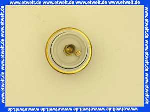 293550099 Schell Verschlusskopf für Druckspüler