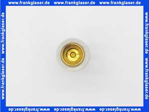 293630099 Schell Kolben für Druckspüler komplett