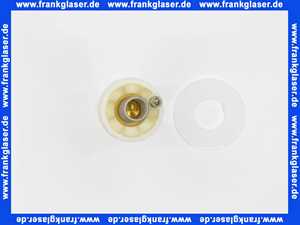 294200099 Schell Kolben komplett für Druckspüler