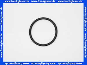 Schütz Dichtung O-Ring Drm 65x5,5 70+-5 Shore nach DIN 3771 NBR UV-stabilisiert 445215