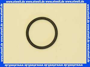 363808 Schwab O-Ring Auslaufstutzen Z7207, 170.00XX