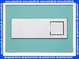 9228 Schwab komplette Betätigungsplatte CARO Glas - mintgrün, Zweimengenspülung