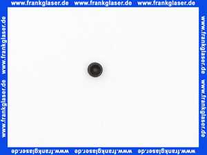 2912040187 Sieger Gewindestift DIN913 M6x6 45H