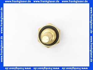 63024877 Sieger Fühler Kessel G1/4 45lg für G135