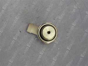 7098666 Sieger Entlüftunsventil