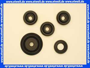 7099666 Sieger Dichtungs-Set-Gas-Hydraulik