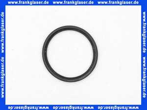 7101400 Sieger Lippendichtung DN 80mm für KBR 65,98-3 A.., BK 16