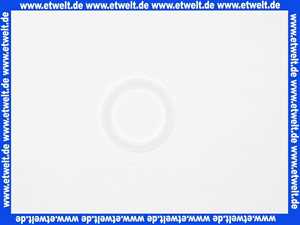 PE-Dichtringe weiß 29x37x2 mm 1 für Wassermesserverschraubungen, Zulassungen KTW, W270