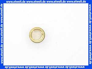 Schlauchverschraubung Schlauchtülle 1/3 Verschraubung mit G3/4 Außengewinde -19mm Tülle