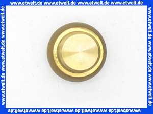 Fußventil Ansaugventil G3/4 Zoll