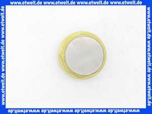 Fußventil Ansaugventil mit VA-Saugkorb G1 Zoll