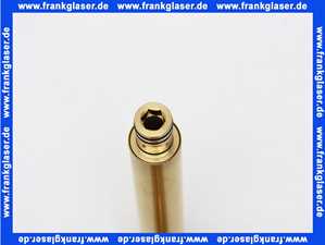 0999710BG Steinberg Wandauslauf 190mm brushed gold