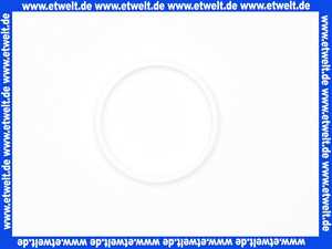 Stiebel Eltron 057205 DICHTRING SS