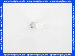 169413 Stiebel Eltron Signalanode G3/4x310