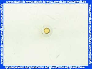 Stiebel Eltron 243807 Temp.-Einsatz kpl.